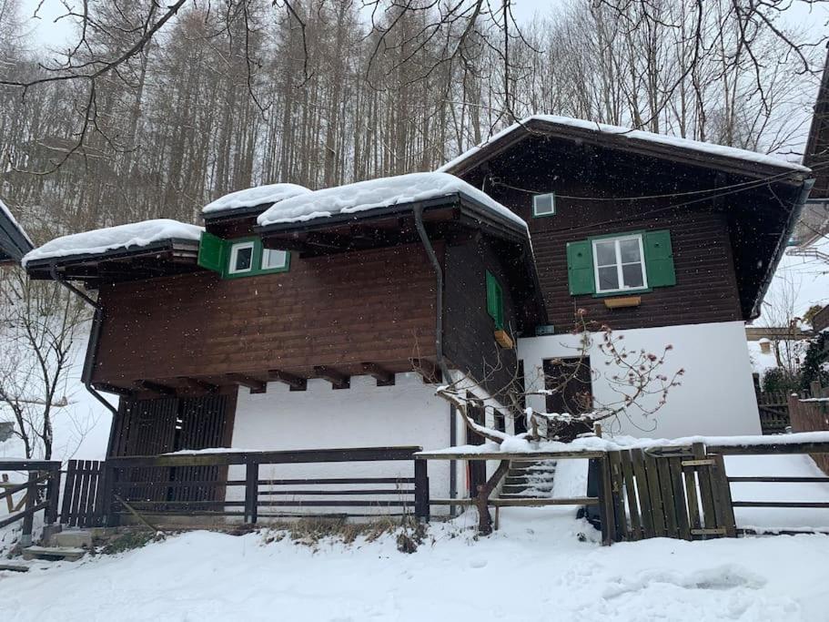 Kleine Alpenhuette In Lend 2024 Neben Der Salzachヴィラ エクステリア 写真
