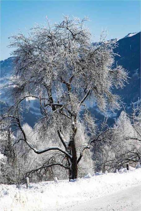 Kleine Alpenhuette In Lend 2024 Neben Der Salzachヴィラ エクステリア 写真
